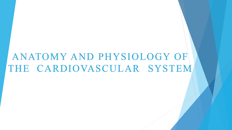 Anatomy & Physiology of the Cardiovascular System
